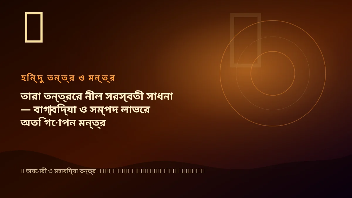 তারা তন্ত্রের নীল সরস্বতী সাধনা — বাগ্‌বিদ্যা ও সম্পদ লাভের অতি গোপন মন্ত্র