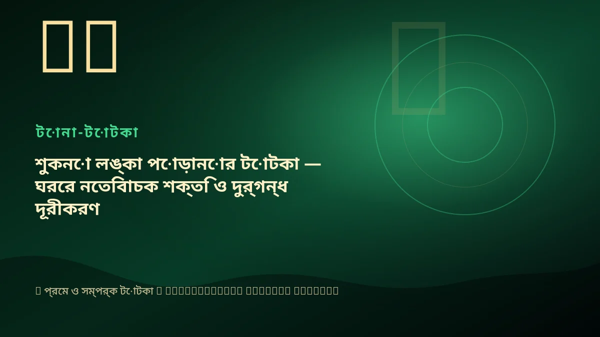 শুকনো লঙ্কা পোড়ানোর টোটকা — ঘরের নেতিবাচক শক্তি ও দুর্গন্ধ দূরীকরণ
