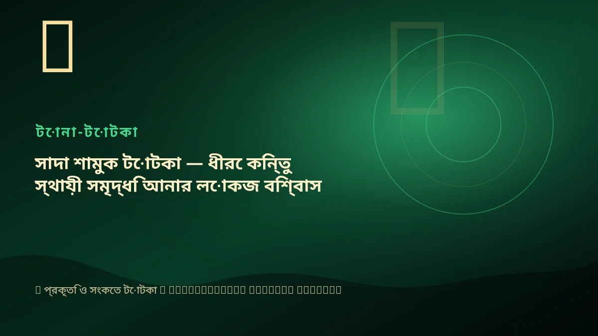 সাদা শামুক টোটকা — ধীরে কিন্তু স্থায়ী সমৃদ্ধি আনার লোকজ বিশ্বাস